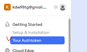 ngrock auth