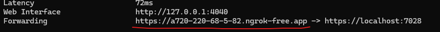 ngrok 임시 domain
